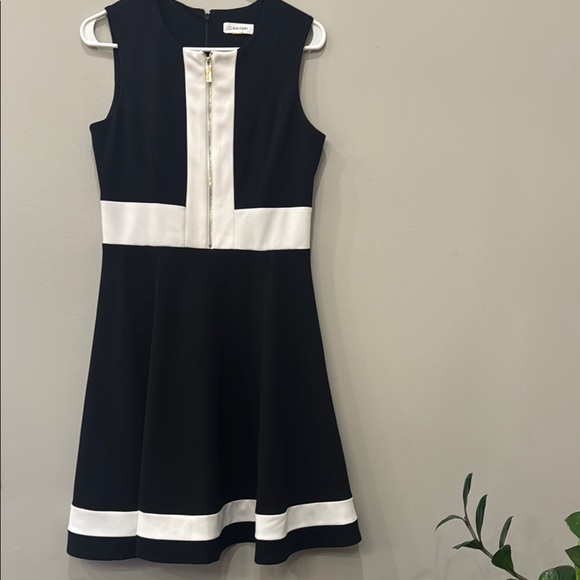 Calvin Klein Dresses & Skirts - Calvin Klein Black and White Dress